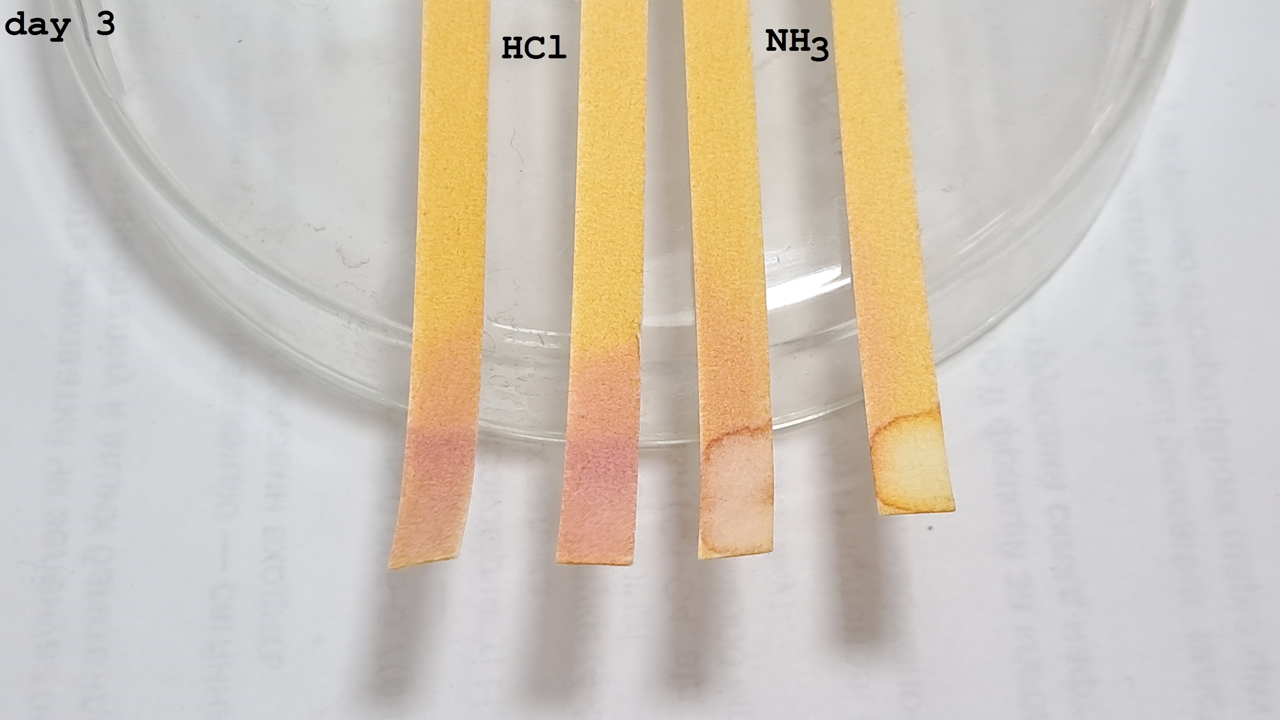 Universal Indicator Paper: Color Change Over Time